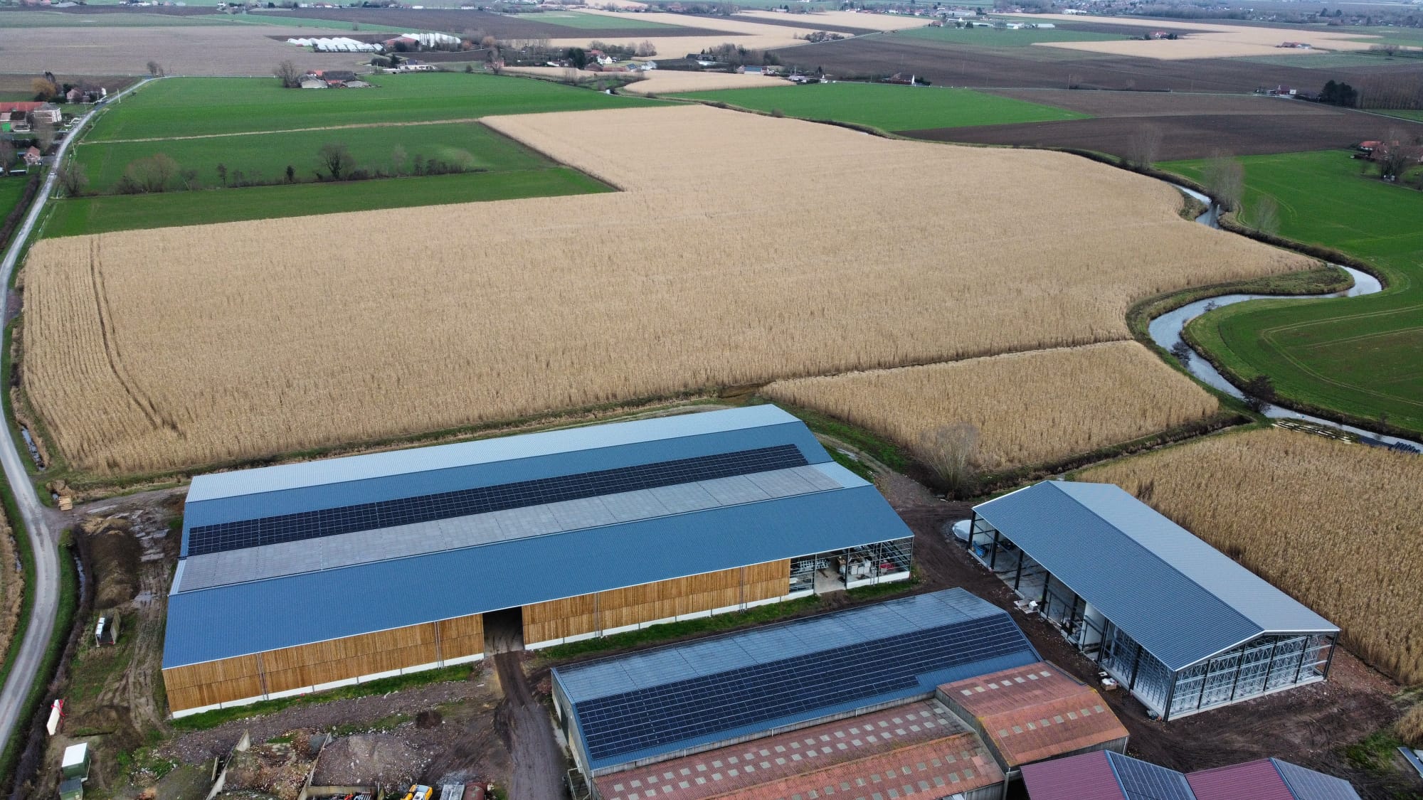 Miscanbloc usine en cours, champs miscanthus