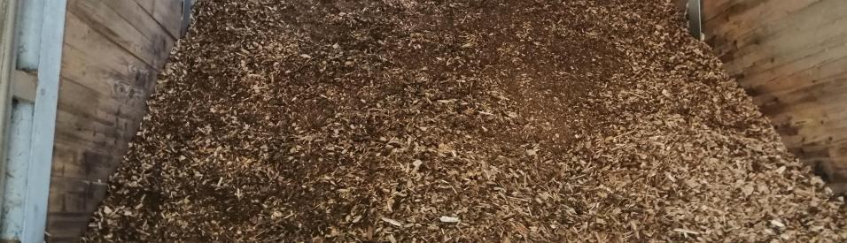 Qu'est-ce que la biomasse et comment est-t-elle utilisée en cimenterie ? 