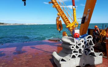 Vicat’s concrete 3D ink buoys up marine biodiversity