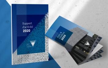Rapport d'Activité et Faits & Chiffres 2020