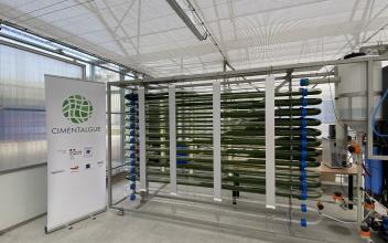 Le système de culture s’appelle le PBR tubulaire (PhotoBioRéacteur tubulaire). La microalgue en question est Arthrospira platensis, plus communément appelée Spiruline. Le PBR tubulaire permet de maitriser tous les paramètres de la culture (Lumière, température, CO2, Nutriments), ainsi nous avons une croissance optimale.